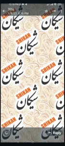 شیکان شیک شاپ