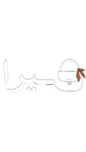 میرا بگ