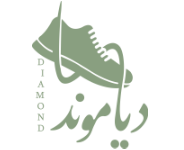 پایه کفش دیاموند