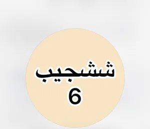 شیکوپیک استور