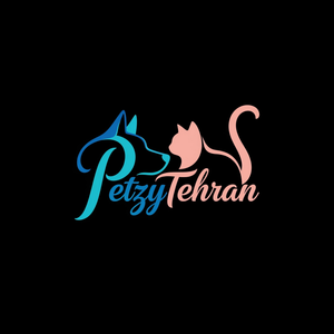 پتزی تهران