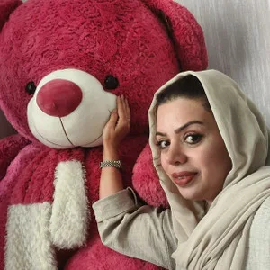 اندیشه تویز