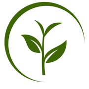 سین شاپ استور