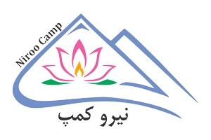 نیروپردازان