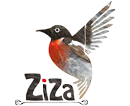 زیزا دکور