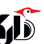 کفش دارکوب