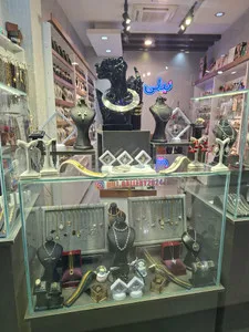شاپ نیلی