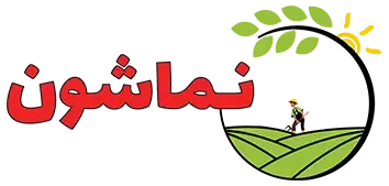 برنج نماشون