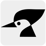 دارکوب هندمید