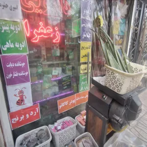 عطاری پوریا