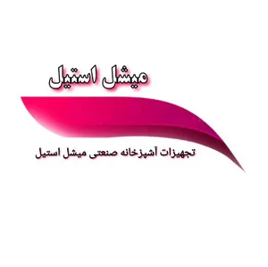 میشل استیل