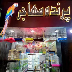 پرنده مهاجر