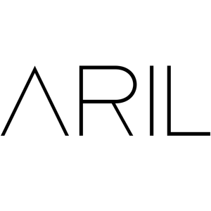 آریل بگ