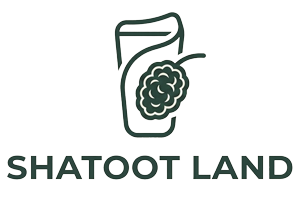 شاتوت لند