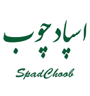 اسپادچوب