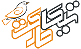 تیکا مارکت