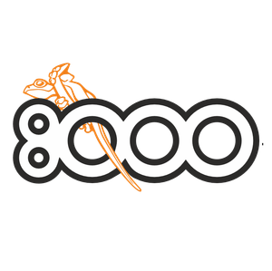 حقیقی 8000