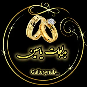 بدلیجات یاسین