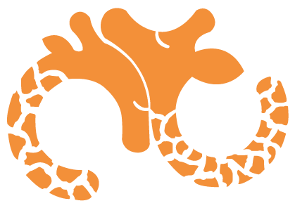 آکادمی کودکی