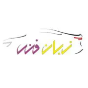 زبان فنی
