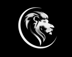 تجهیزات صوتی و نوری Roar