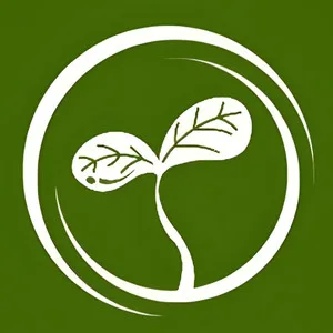 سم اورجینالیتی