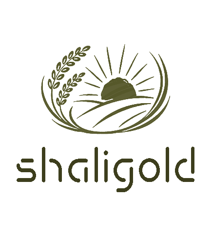 شالی گلد