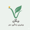 ویگل