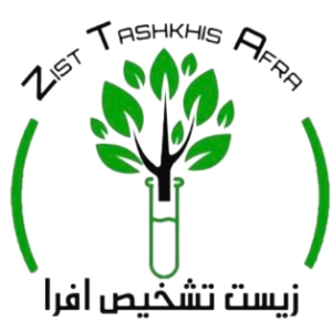 زیستا