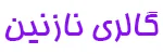 آرایشی نازنین