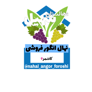 نهالستان انگور سهیل