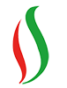 ایران سرفیس