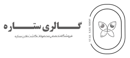 گالری کاشت ناخن ستاره