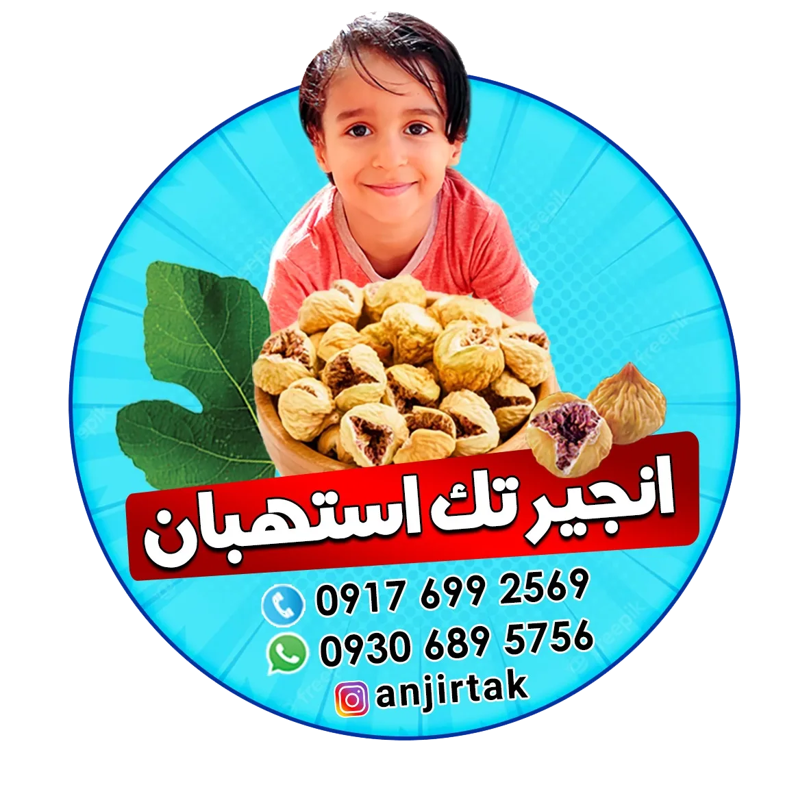 انجیر عزتی
