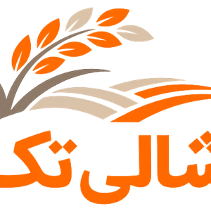 شالی تک