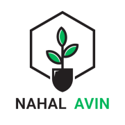 نهال آوین