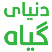 دنیای گیاه