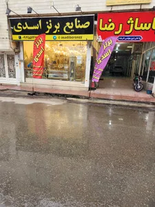 برنز اسدی