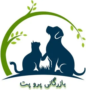 بازرگانی پروپت