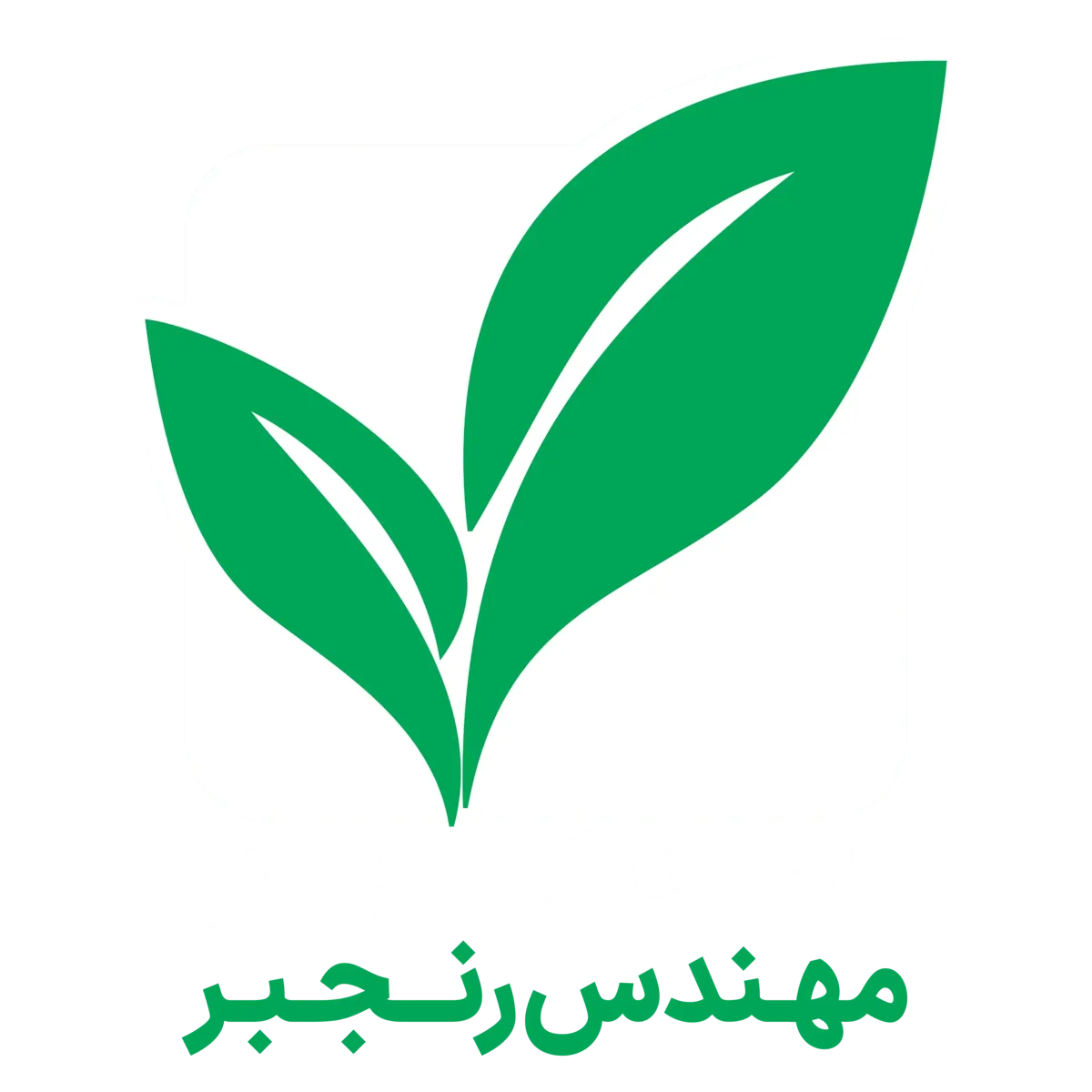 داروخانه گیاهپزشکی مهندس رنجبر