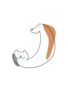 ماه پت