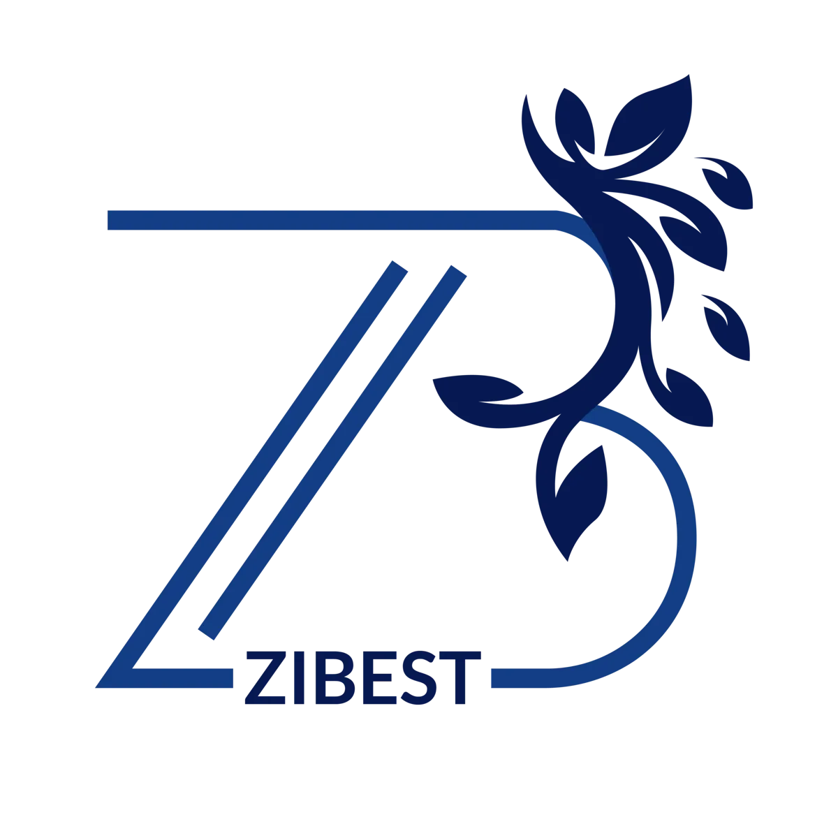 زیبست