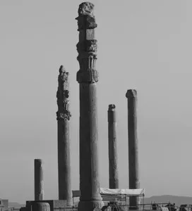 علی ام سی