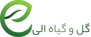 گیاه الی