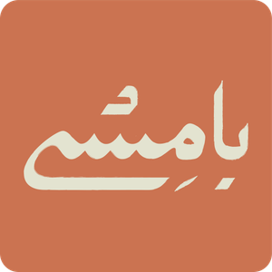 بامشی استور