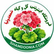 شمعدونیا
