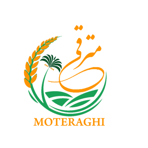 بازرگانی مترقی