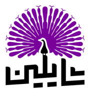 شایلین مارکت