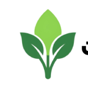 گالری هنری ریحوون