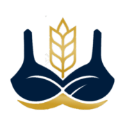 گندم 2024